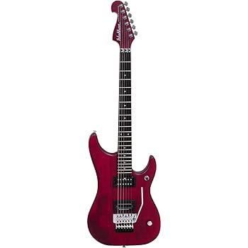 Washburn N1 Nuno Bettencourt ジャンク Washburn N1 Nuno Bettencourt ジャンク Washburn Nuno